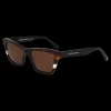Gafa con tendencia a pico negra, beige y habana